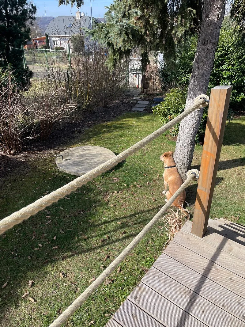 Pupik se (zase) zamiloval. Vubec ji nezna, ale je to laska na prvni … Po kom tohle proboha ma?!